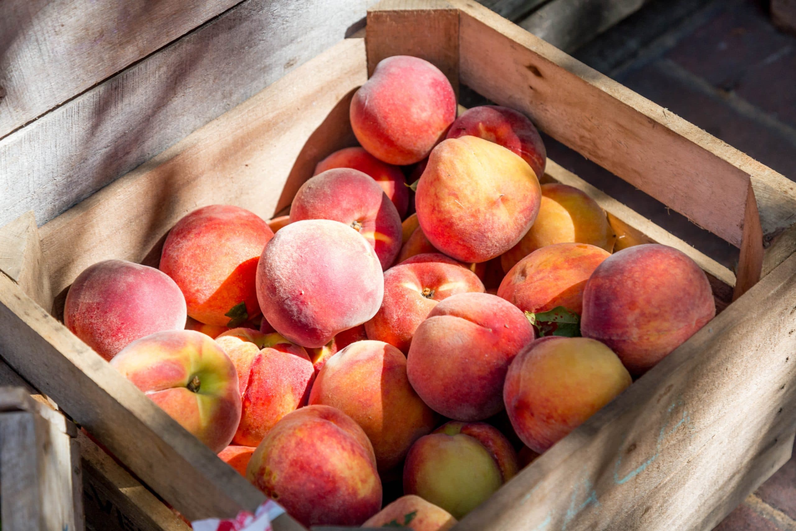 10 Summertime Peach Recipes